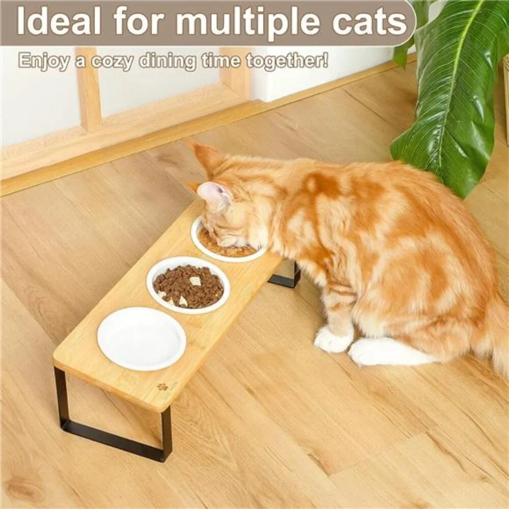 Raised Cat Food Water Bowl Elevated Tilted Kitty Dishes Set of 3 Ceramic Dish